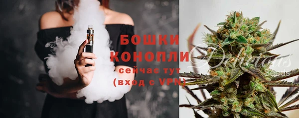 стаф Зерноград