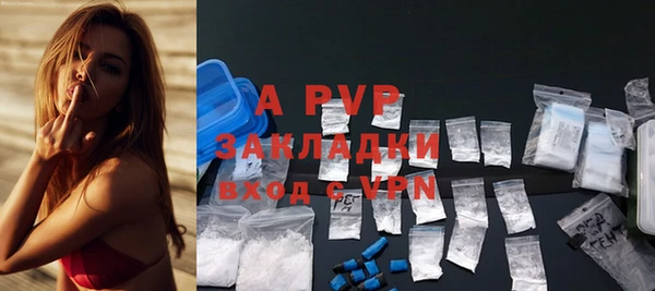 сатива Иннополис