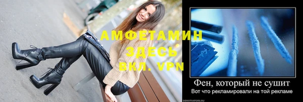 сатива Иннополис