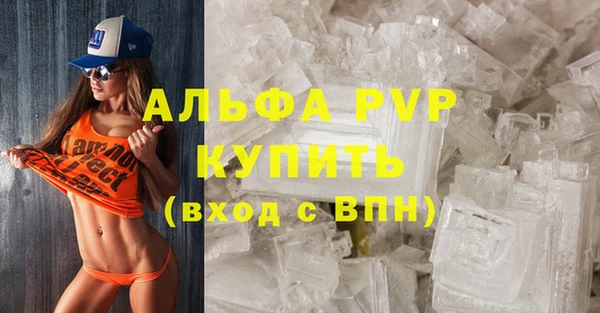 индика Каменск-Шахтинский