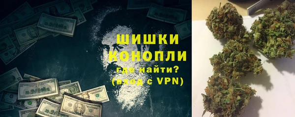 сатива Иннополис