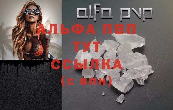 стаф Зерноград