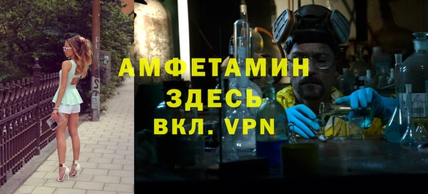 сатива Иннополис