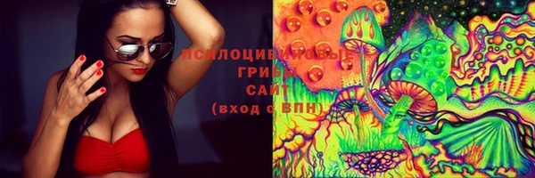 прущие крисы Зеленокумск