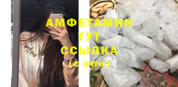 стаф Зерноград