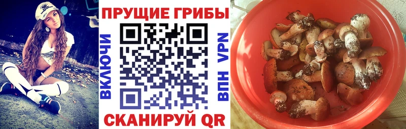 Купить где  Белоозёрский  Галлюциногенные грибы ЛСД 